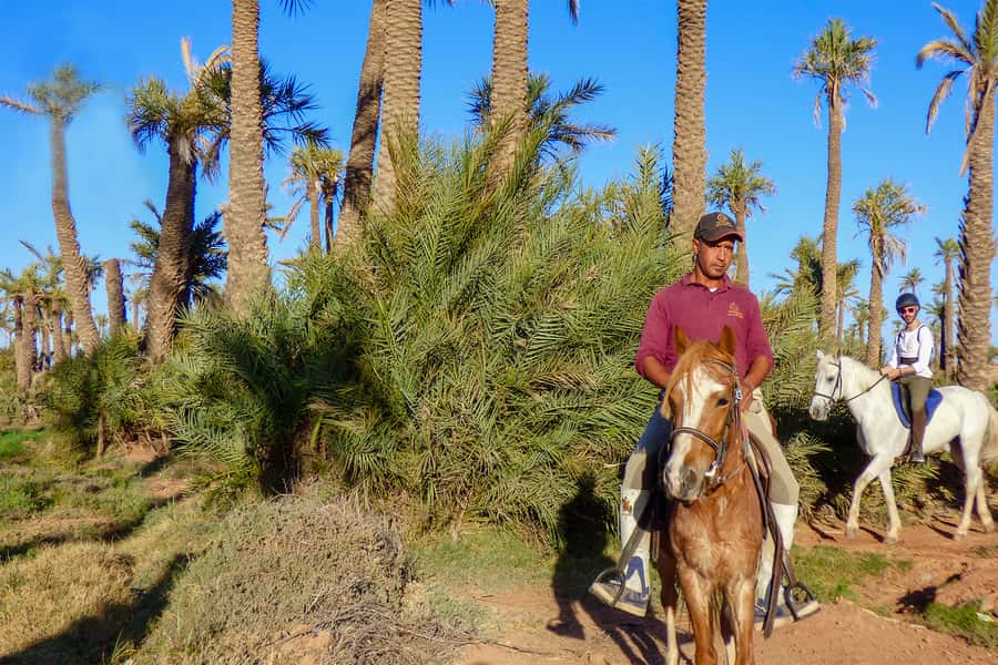 Marrakech: Palm Grove Horseback Riding Tour - Arriving at the riding yard