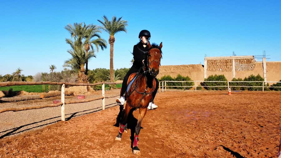 Marrakech: Private Horseback Tour in the Palm Grove with Tea - Key points to know before you book