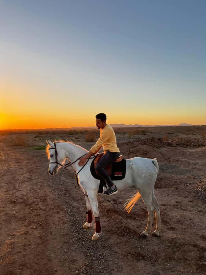 Marrakech: Private Horseback Tour in the Palm Grove with Tea - Leaving Medina for the Palmeraie
