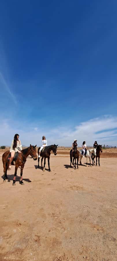 Marrakech: Private Horseback Tour in the Palm Grove with Tea - Who should book this horseback ride?