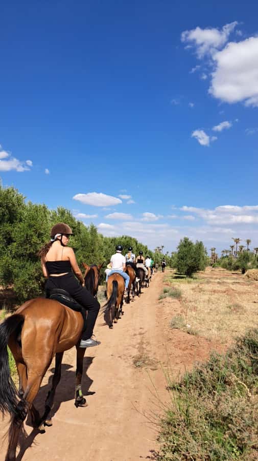 Marrakech: Private Horseback Tour in the Palm Grove with Tea - Meeting the horses and choosing your pace