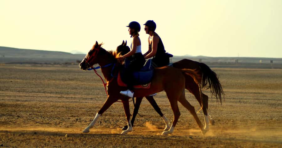 Marsa Alam: Sea and Desert Horse Riding Tour - Key points to know before booking