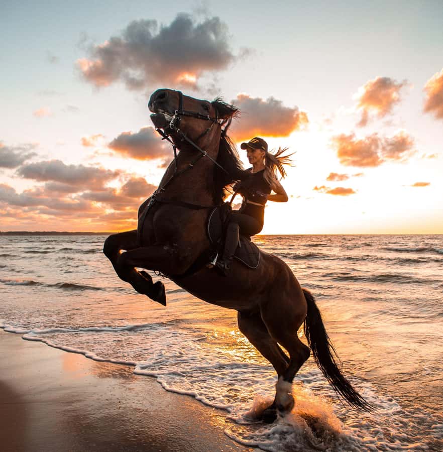 Marsa Alam: Sea and Desert Horse Riding Tour - From the Marsa Alam stables to open desert