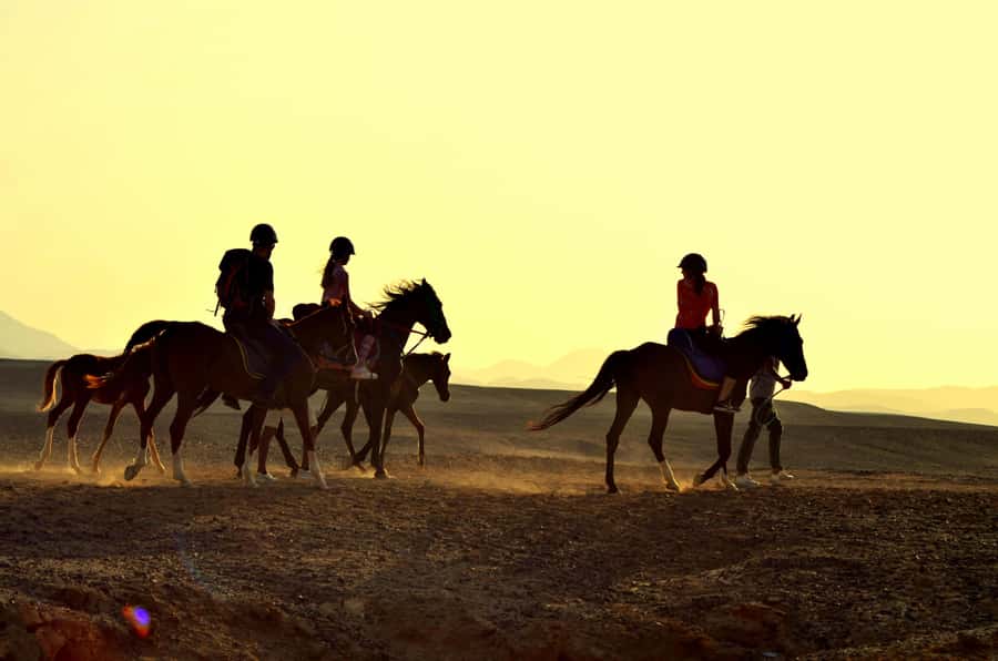 Marsa Alam: Sea and Desert Horse Riding Tour - Two hours across desert trails and coastal paths