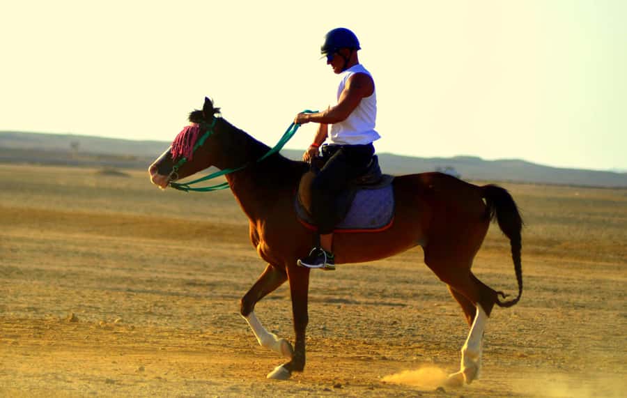Marsa Alam: Sea and Desert Horse Riding Tour - Sunrise, afternoon, or sunset?