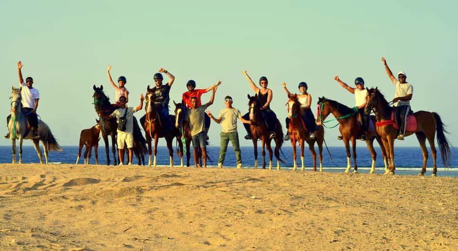 Marsa Alam: Sea and Desert Horse Riding Tour - The four-hour VIP ride and sea swim