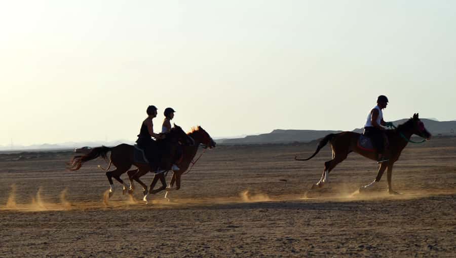 Marsa Alam: Sea and Desert Horse Riding Tour - What the $33 price really offers