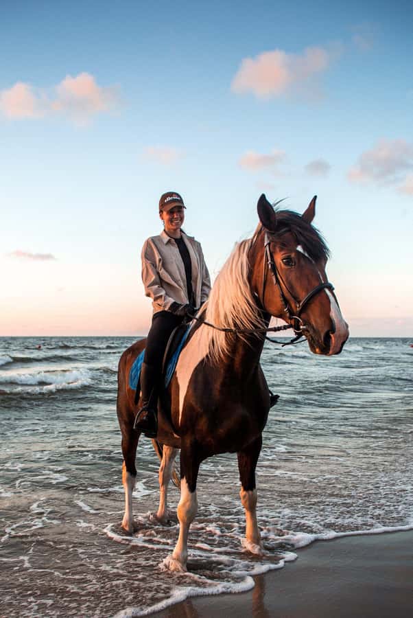 Marsa Alam: Sea and Desert Horse Riding Tour - Calm horses and careful rider matching