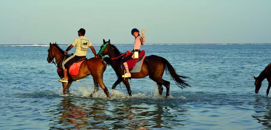 Marsa Alam: Sunrise Horseback with Breakfast - The two-hour route and desert breakfast