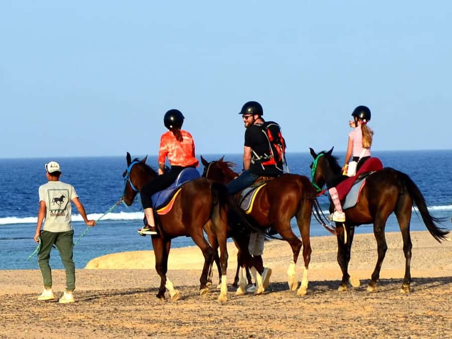 Marsa Alam: Sunrise Horseback with Breakfast - Is $26 good value?