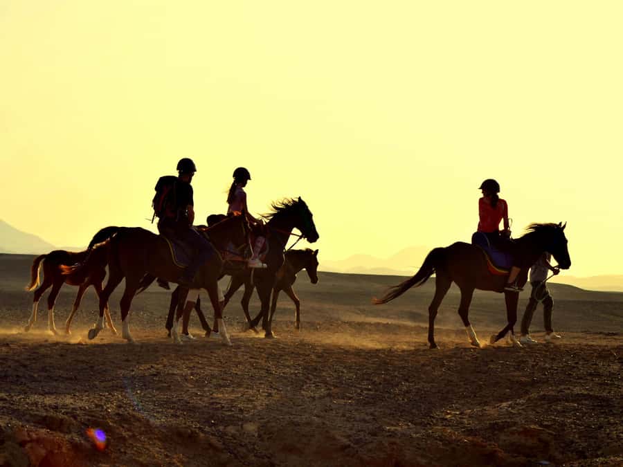 Marsa Alam: Sunrise Horseback with Breakfast - Why the sunrise timing matters