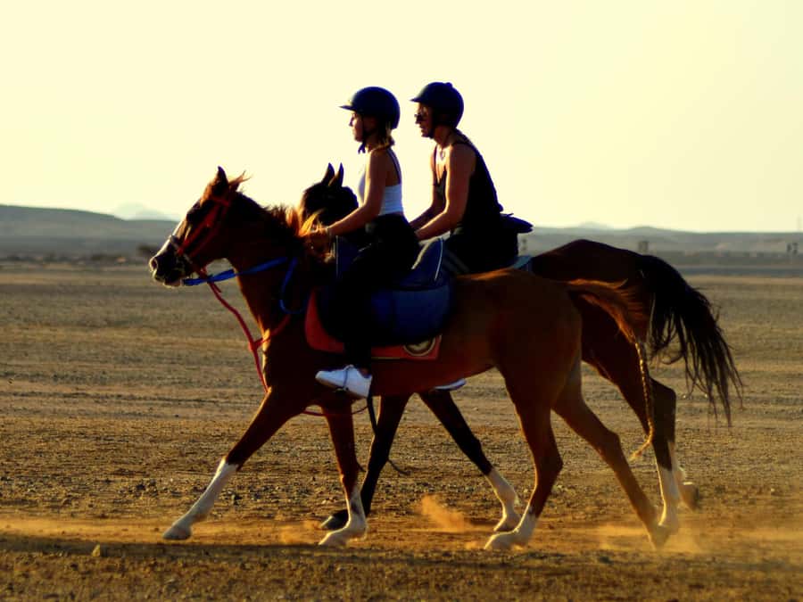 Marsa Alam: Sunset Horseback with Dinner, Show & Stargazing - Key things to know before booking