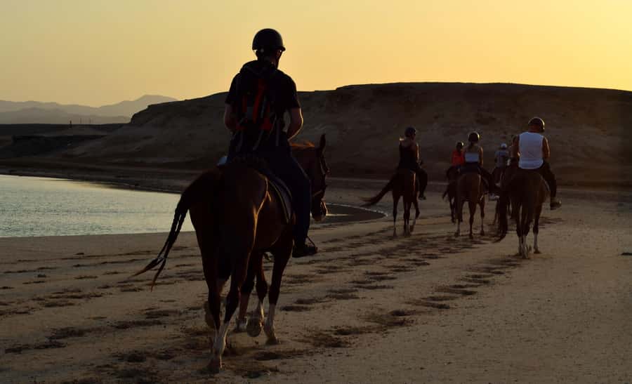 Marsa Alam: Sunset Horseback with Dinner, Show & Stargazing - What the $29 price really gives you