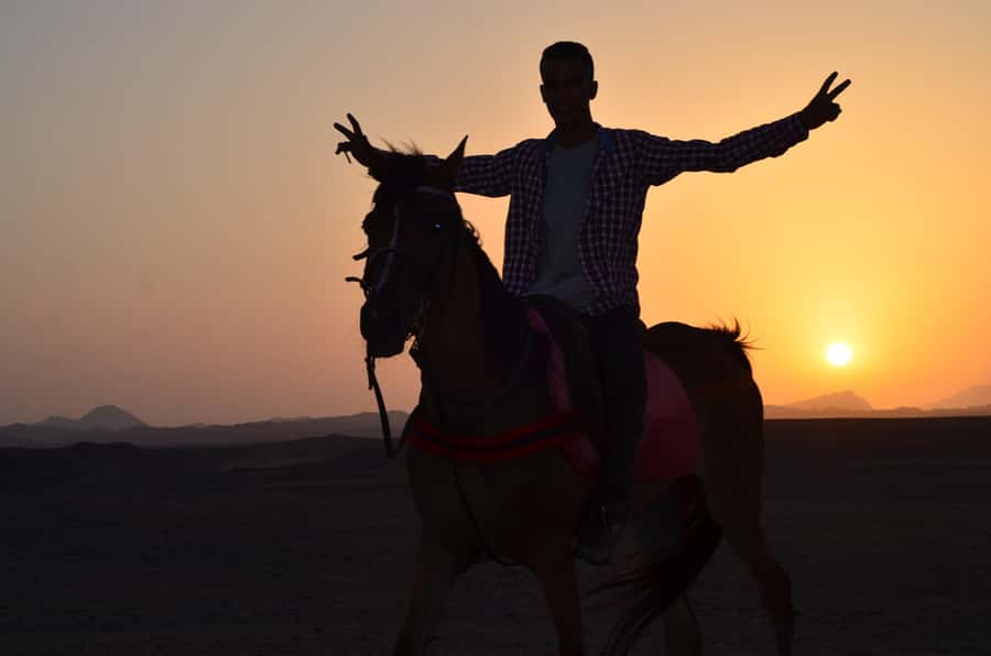 Marsa Alam: Sunset Horseback with Dinner, Show & Stargazing - Should you book the Marsa Alam sunset ride?