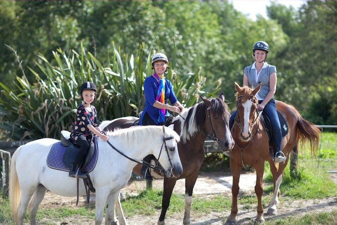 Matakana Art & Horse Riding Experience Private Tour From Auckland - Key points to know before booking