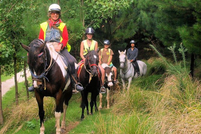 Matakana Art & Horse Riding Experience Private Tour From Auckland - What the $588.92 price includes