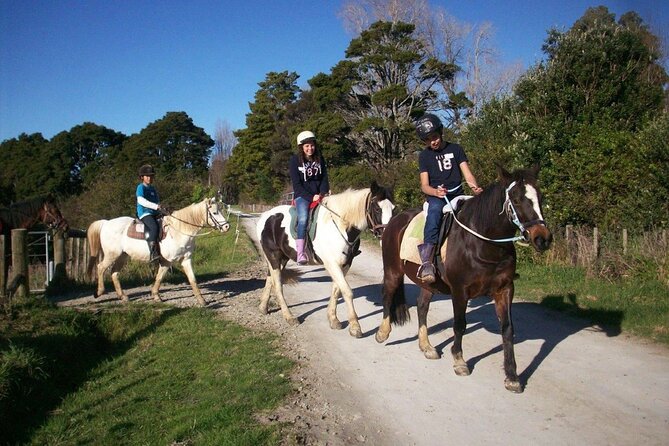 Matakana Art & Horse Riding Experience Private Tour From Auckland - Who will enjoy this private day most?