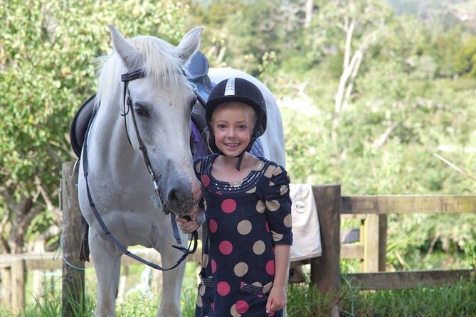Matakana Art & Horse Riding Experience Private Tour From Auckland - Chocolate Brown adds a sweet half-hour