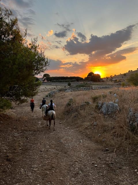 Matera: sunset horseback riding tour on Murgia - What makes this Murgia horseback ride special