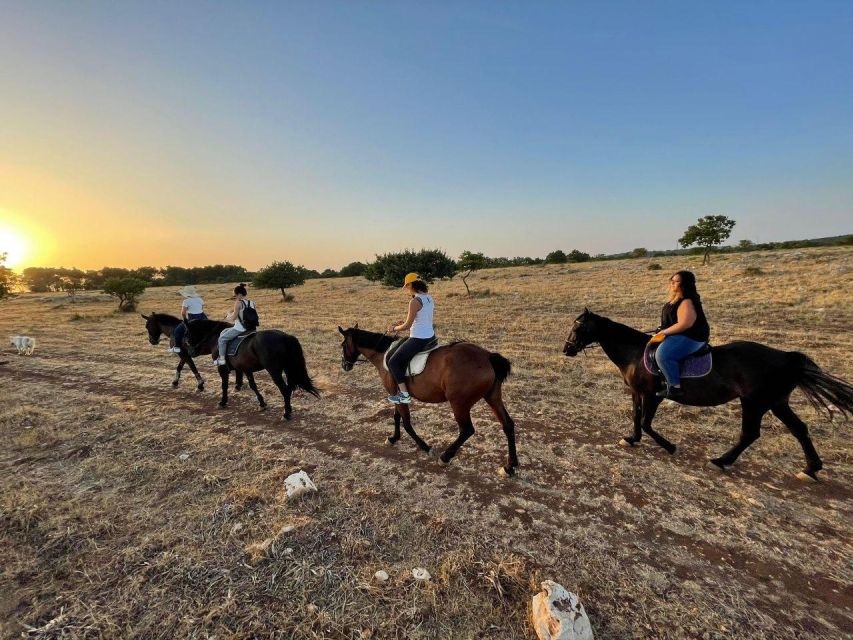 Matera: sunset horseback riding tour on Murgia - Starting at Masseria Morsara
