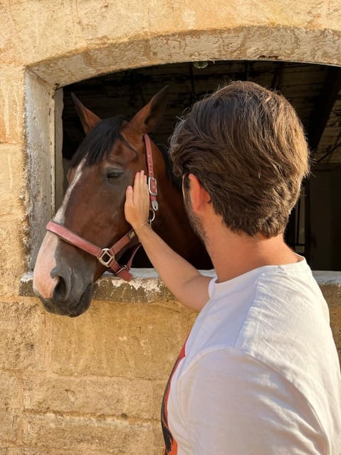 Matera: sunset horseback riding tour on Murgia - What the horses and guide add