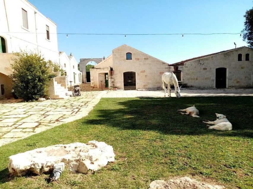 Matera: sunset horseback riding tour on Murgia - Who will enjoy this most?