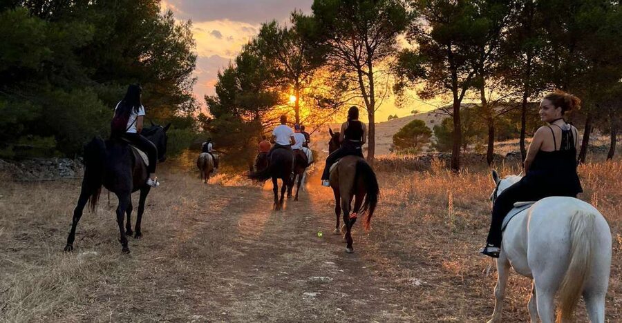 Matera: sunset horseback riding tour on Murgia - Practical preparation for a comfortable ride