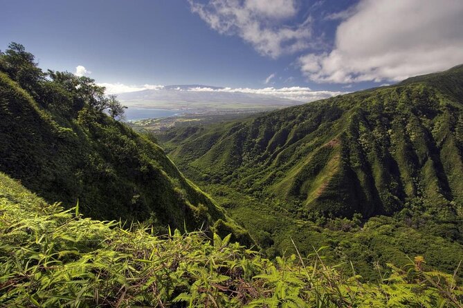 Maui Horseback Adventure at Circle M Ranch With Real Cowboys - What makes this ride worth considering