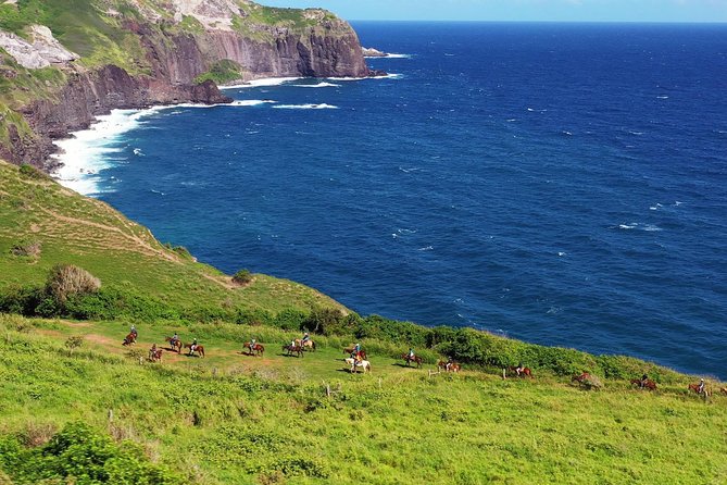 Maui Horseback Adventure at Circle M Ranch With Real Cowboys - Down through pasture toward the Pacific