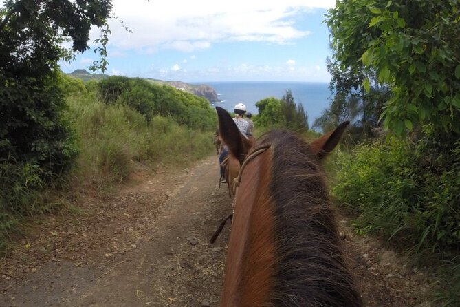 Maui Horseback Adventure at Circle M Ranch With Real Cowboys - Is $185.20 a fair price?