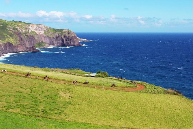 Maui Horseback Adventure at Circle M Ranch With Real Cowboys - Meeting your horse and learning the basics