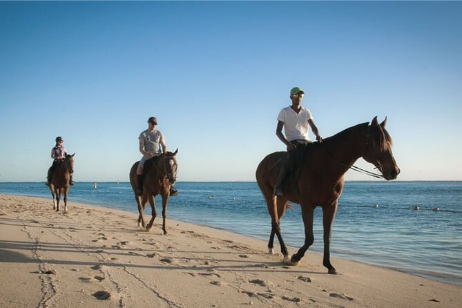 Mauritius Horse Riding at Riambel - How private pacing changes the experience