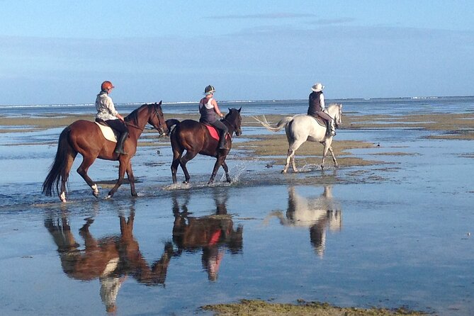 Mauritius Horse Riding at Riambel - Is $125 a fair price?