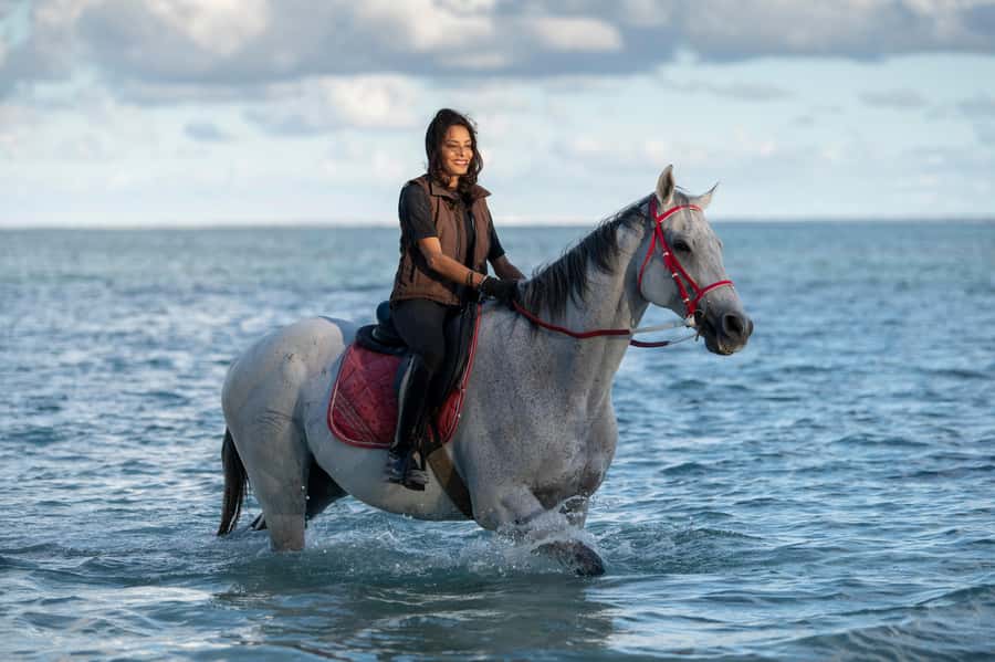 Mauritius: Horse riding on the deserted beach of Riambel - Arriving at Centre Equestre de Riambel