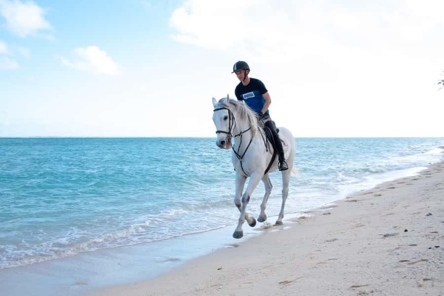 Mauritius: Horse riding on the deserted beach of Riambel - Walking onto the deserted Riambel beach