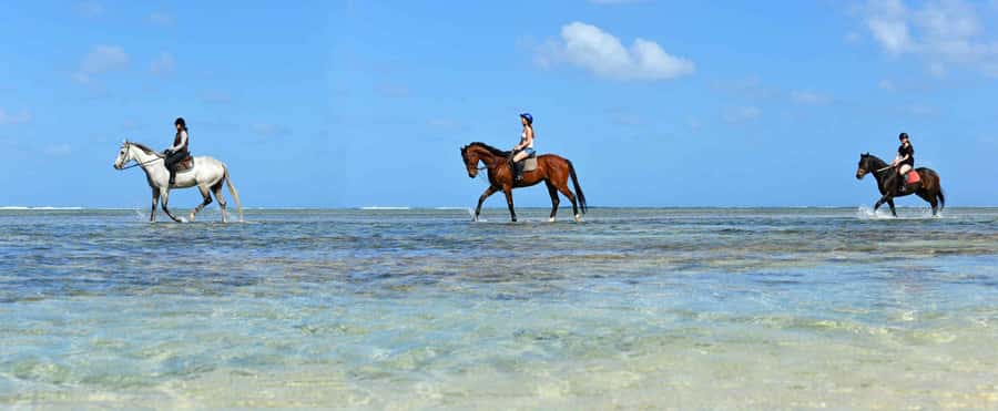 Mauritius: Horse riding on the deserted beach of Riambel - Trotting and cantering for experienced riders