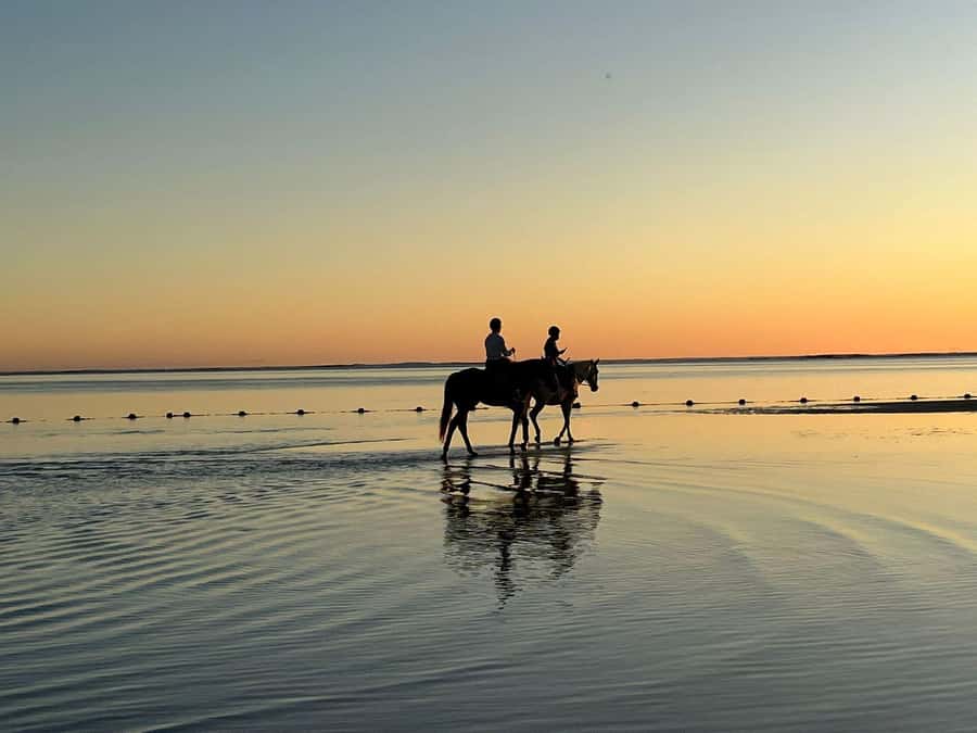 Mauritius: Horseback riding on the beach - Arriving at the sanctuary near Belle Mare