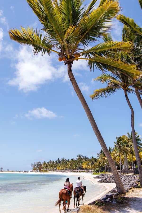 Mauritius: Horseback riding on the beach - What the slow pace means in practice