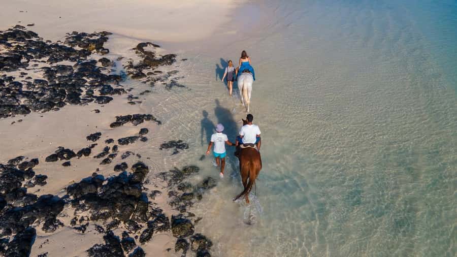 Mauritius: Horseback riding on the beach - Price and value at $110 per person