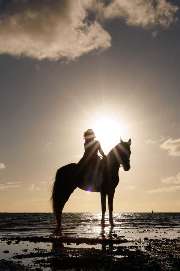 Mauritius: Horseback riding on the beach - Languages, group size, and timing