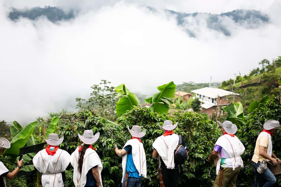 Medellin: Coffee Tour, Horseback Arrival, and Sugar Cane - Should you book the Super Coffee Tour?