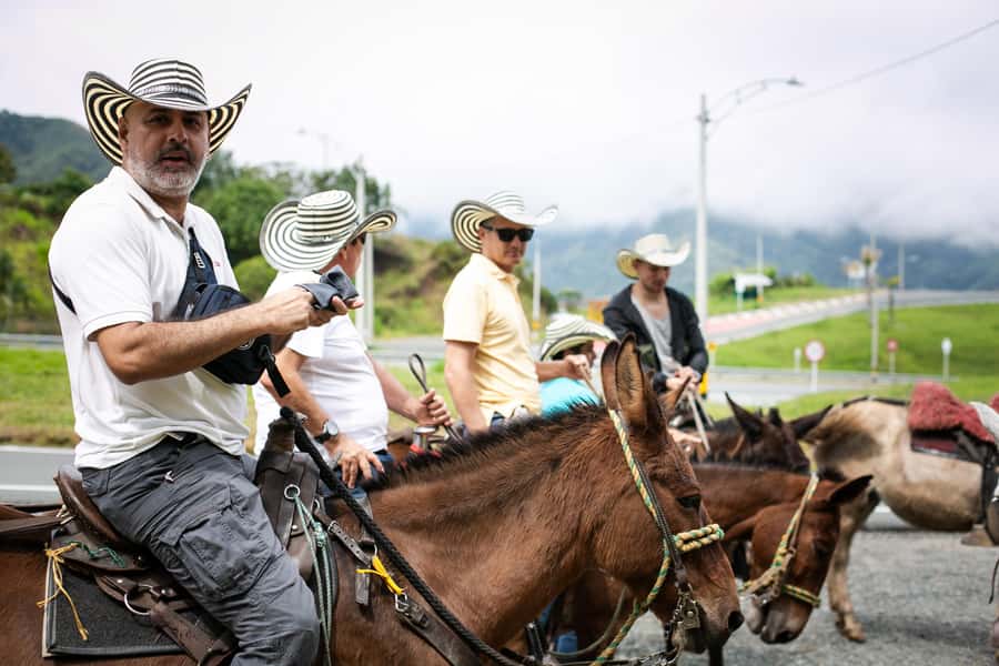 Medellin: Coffee Tour, Horseback Arrival, and Sugar Cane - Coffee plants, picking, and the route from bean to cup