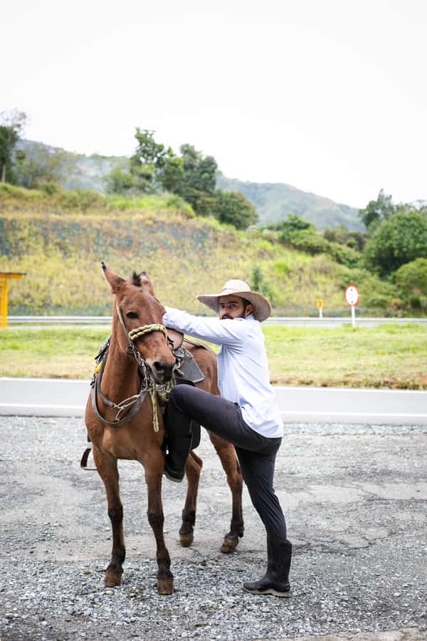 Medellin: Coffee Tour, Horseback Arrival, and Sugar Cane - Sugar cane and panela, with less time than the coffee