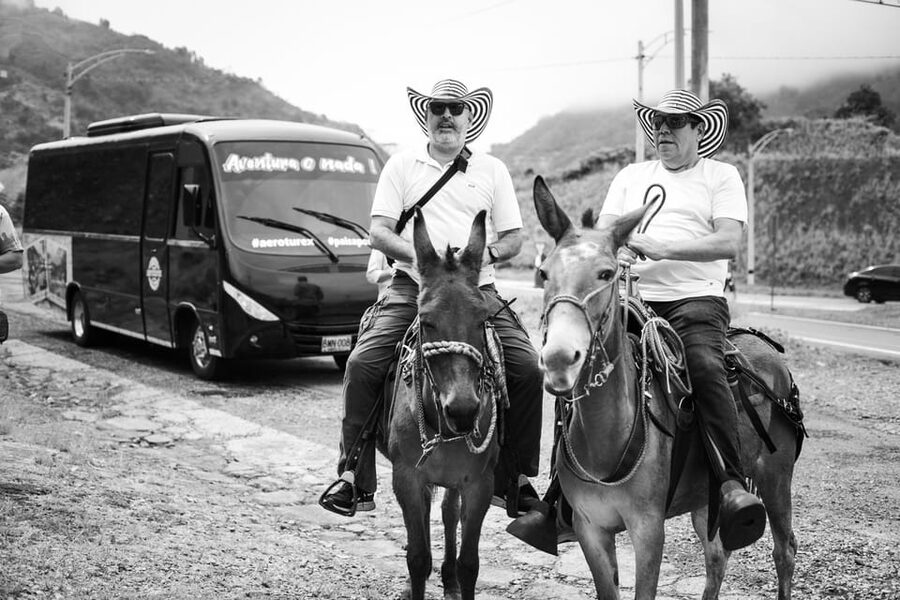 Medellin: Coffee Tour, Horseback Arrival, and Sugar Cane - Who should book this Antioquia farm visit