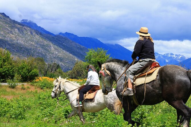 Medellin: Horseback Riding Adventure In Nature (Don't Overpay) - The horses and basic safety questions
