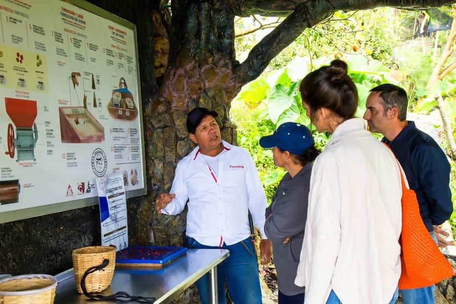 Medellin: Horseback Riding Coffee Farm Tour with Coffee Spa - What the $150 Price Really Covers