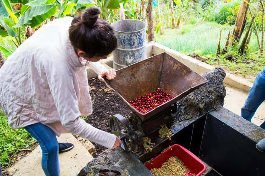 Medellin: Horseback Riding Coffee Farm Tour with Coffee Spa - Timing, Comfort, and Who Should Go