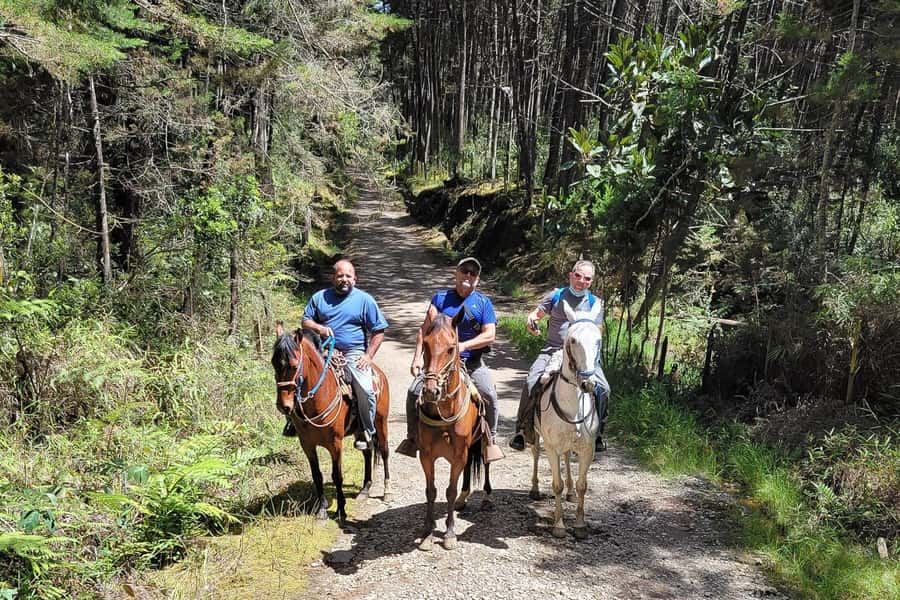 Medellin: Horseback Riding Coffee Farm Tour with Coffee Spa - The Horse Ride Through Antioquia’s Hills
