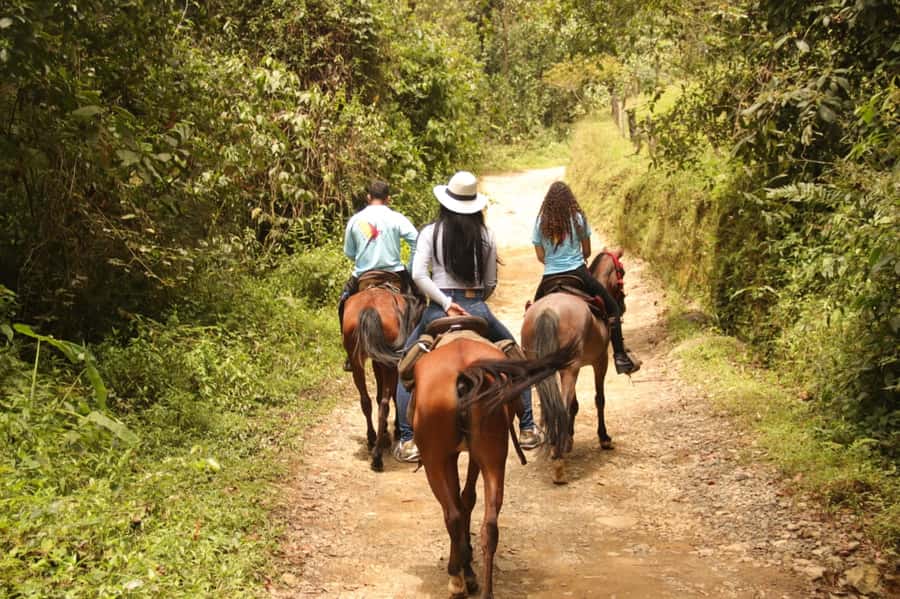 Medellin: Horseback Riding in the Medellin Mountains - Guides who make beginners feel secure