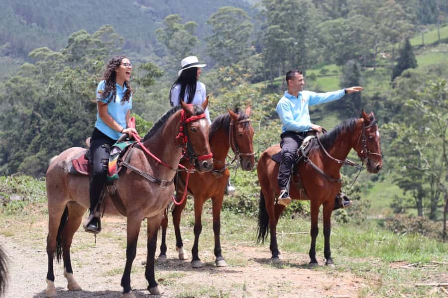 Medellin: Horseback Riding in the Medellin Mountains - Who should book this mountain ride